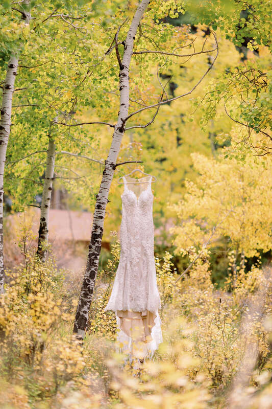 Lace wedding dress by Martina Liana hanging from a tree.
