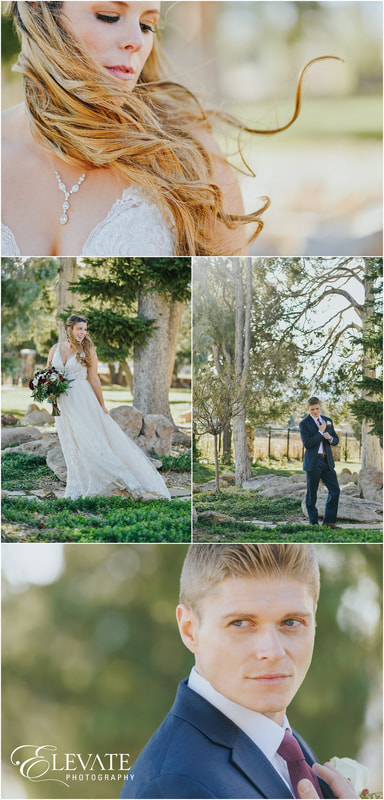 collage of bride and groom on front circle lawn and tree background