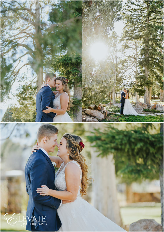 collage of bride and groom together amongst the trees