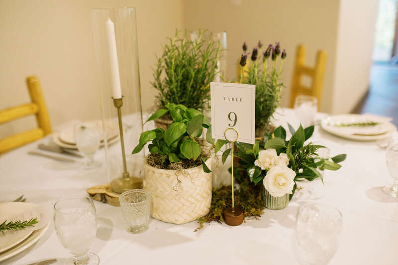Sustainable wedding centerpiece with potted plants and herbs